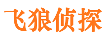 丰城市调查取证